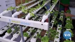 Cabo Verde: Feira agropecuária traz soluções tecnológicas para desafios da ilha