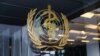 World Health Organization (WHO)