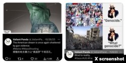 Valiant Panda的漫画嘲笑美国的国内问题和外交政策。