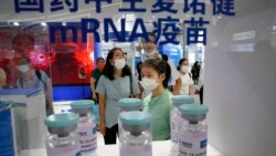 中國研製的mRNA疫苗開始試生產