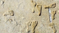 North America Oldest Fossil Footprints