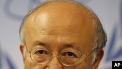 國際原子能機構總幹事天野之彌。(資料圖片)