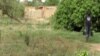  Niger's Farmers and Cattle Ranchers Nurture the 'Giving Tree'