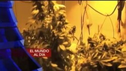 El Mundo al día