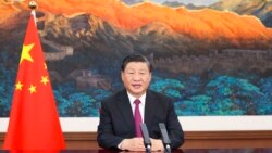 今日中國是否昨日德國？或是“拉民族大旗作虎皮”？