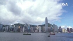 五眼聯盟中四國相繼中止與香港引渡條約