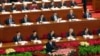 人大副委员长王兆国就刑法修正案做出说明