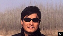 陳光誠(資料圖片)