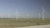 Kansas cattleman Pete Ferrell credits a series of 100-meter-tall wind turbines, situated on his property, for saving his business.