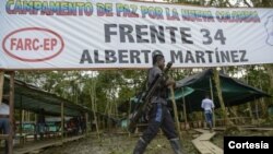 Cerca de 7.000 guerrilleros que ya están en las zonas veredales transitorias de normalización (ZVTN).