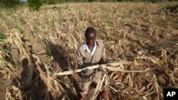 Southern Africa Drought and Hunger