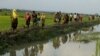 ဘင်္ဂလားဒေ့ရှ်နိုင်ငံ ကော့ဇ်ဘဇားဒေသအနီး လယ်ကွင်းတွေထဲ မြန်မာဘက် ထွက်ပြေးလာတဲ့ ရိုဟင်ဂျာဒုက္ခသည်များကို တွေ့ရစဉ် (စက်တင်ဘာ၊ ၂၀၁၇)