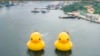 An Essential Itinerary: Hong Kong's Best Harbourside Activities to Beat the Summer Heat