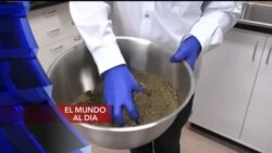 El Mundo al día
