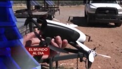 El Mundo al día