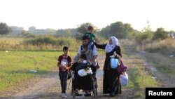 Migrantes sirios curzando hacia Hungría a través de la frontera con Serbia, el sábado, 29 de agosto de 2015. 
